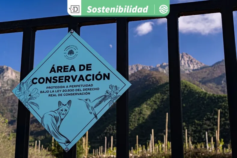 29448 diseno sin titulo 2026 01 29t174059.webp