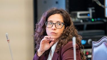 La diputada Gael Yeomans durante una comisión del Congreso - Imagen cedida