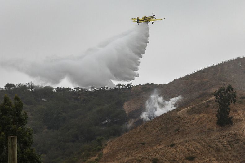 incendios forestales en 5 regiones del pais  valparaiso en alerta amarilla tras fuerte avance.jpg