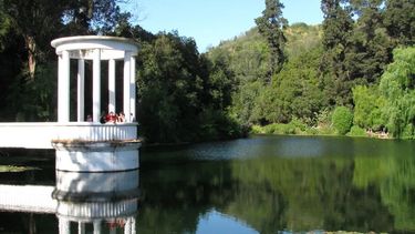 jardin botanico de vina del mar revela contagio de ganso con gripe aviar y anuncia cierre temporal de laguna