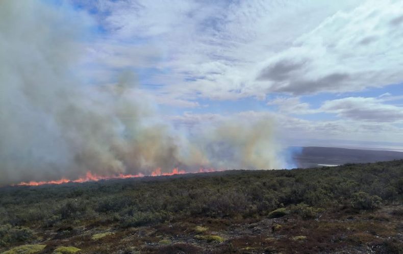 Incendio forestal en tierra del fuego e1699987003103.jpeg