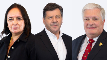 Los renegados de RN: Quiénes son los senadores que se rebelaron ante Chahuán