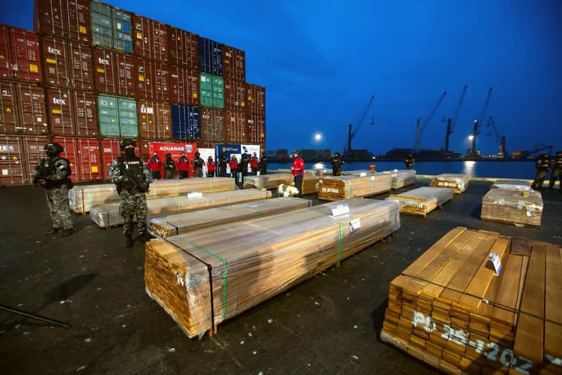 Madera de bosques amazónicos impregnada con droga incautada en los puertos de Chile.&nbsp;