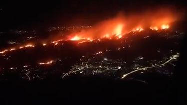 Mega incendio forestal amenaza a Atenas en Grecia: 50.000 evacuados y 10.000 hectáreas quemadas