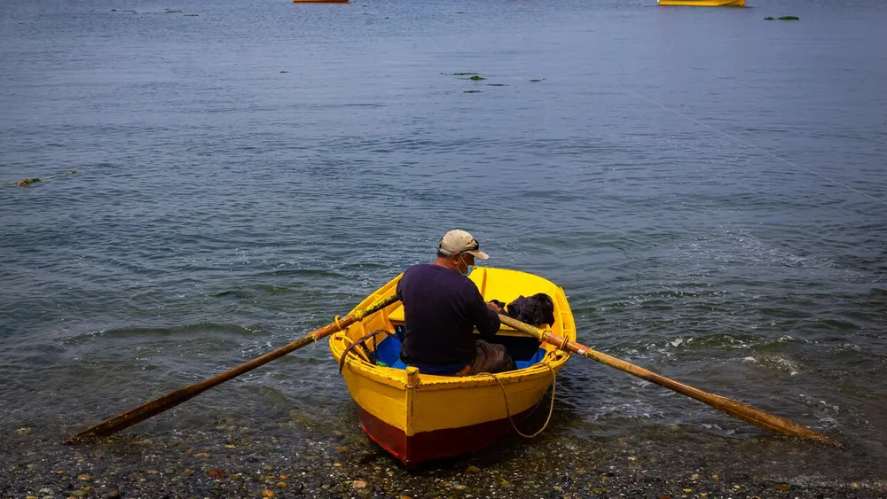 Proyecto conecta a estudiantes con pescadores artesanales sumando productos frescos del mar en la alimentación escolar