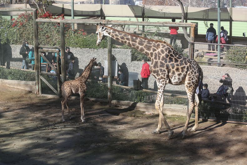 zoologico.jpg