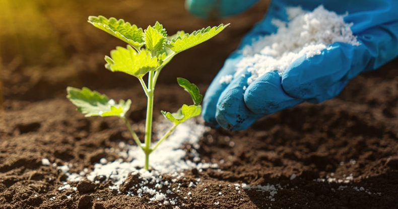 Bioeconomía circular ante la crisis climática.&nbsp;