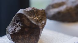 Exclusiva colección de meteoritos en Chile llegará al público con exposición que incluye 5 ejemplares únicos Exclusiva colección de meteoritos en Chile llegará al público con exposición que incluye 5 ejemplares únicos