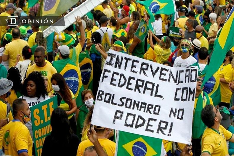 BOLSONARISTAS opinion.jpg