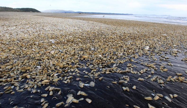 A_UNO_666468 scaled e1689626589666.jpg