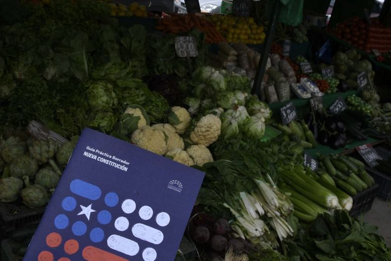 A_UNO_1385765 scaled e1660607338112.jpg