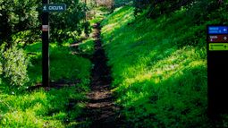 Parque Guay Guay de Colina será inaugurado pronto - Página oficial Parque Guay Guay de Colina será inaugurado pronto - Página oficial