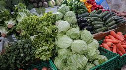 Lechuga lidera listado: Ministro de Agricultura detalla las verduras que subirán tras lluvias