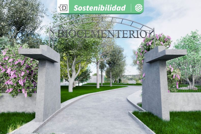 23488 diseno sin titulo 2025 10 01t174643.jpg