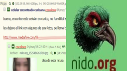 Nidoplus: Administrador de cuestionado sitio web ofrecía planes premium como método de financiamiento