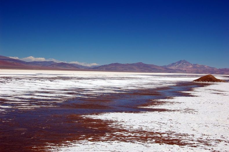 Salar_Maricunga_Atacama scaled e1676403771451.jpeg