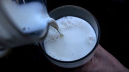 Sernac prende alarmas por leche falsificada que se vende en ferias: Riesgos para la salud