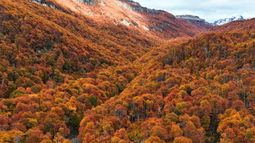 Conservar la biodiversidad es una con para preservar la vida en el planeta. Conservar la biodiversidad es una con para preservar la vida en el planeta.