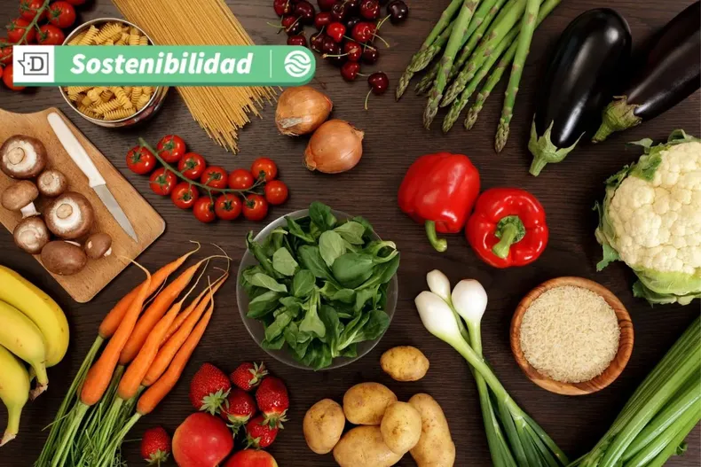 18520 diseno sin titulo 2025 07 03t123947.webp