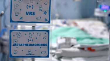 Campaña por virus respiratorio 2024 incorpora predictor de peak y apoyo en salud mental