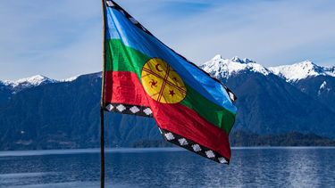 Mapuche: El segundo pueblo indígena del mundo con más conflictos socioambientales