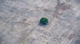OPINIÓN | Si proteges el medioambiente, infórmate por quién votar y no seas cómplice de su destrucción