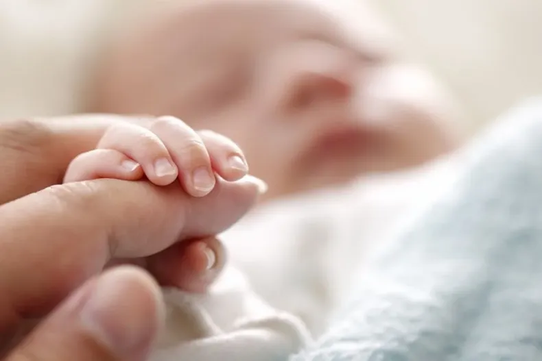 19151 diseno sin titulo 90.webp