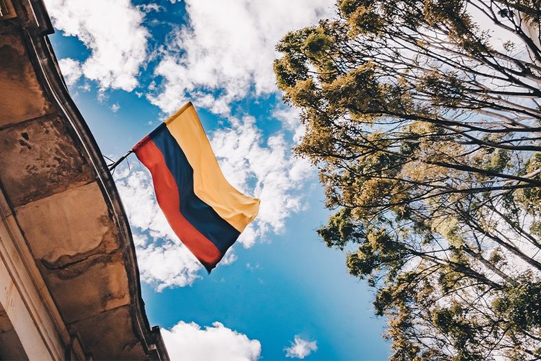 ambientalismo en colombia.jpeg