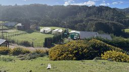 Nueva técnica mapuche: Instalan invernaderos inteligentes para producir hortalizas con poca agua