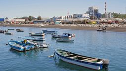Retiro de la Nueva Ley de Pesca: 108 mil trabajadores en riesgo de quedar sin sistema de protección social. Retiro de la Nueva Ley de Pesca: 108 mil trabajadores en riesgo de quedar sin sistema de protección social.