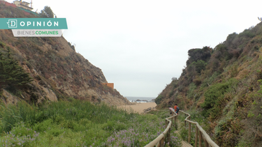 El Desconcierto | ONG FIMA.png