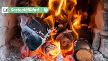Ministerio del Medio Ambiente y Enel X: Lanzan piloto oficial de certificación del Sistema de Compensación de Emisiones