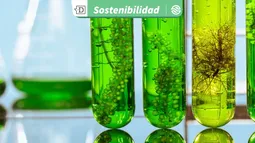 Nanopartículas de dióxido de titanio afectan genes de microalgas: Estudio alerta sobre vacío normativo