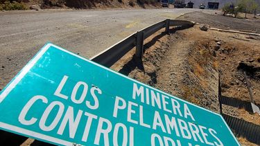 Congresistas contra Los Pelambres: Llaman a oficializar protección de humedales aledaños