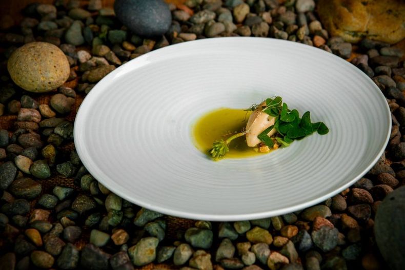 Borago e1700683347531.jpg