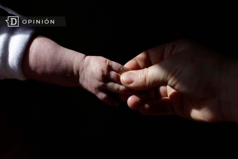 Cuidados e1715612949851.png