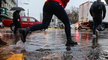 Lluvia en Santiago: Caídas de árboles, cortes de luz y calles anegadas en primeras horas