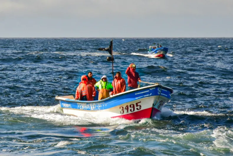 17610 pescadores artesanales fraccionamiento.webp