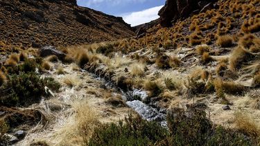 Chile confía en fallo favorable de La Haya en Caso Silala y construir una agenda positiva