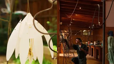 “Enredados con plantas mágicas”: la exposición que invita a crear un jardín colectivo y repensar el vínculo con la naturaleza