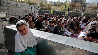 Mega deportación de 800.000 migrantes: Afganos afrontan expulsiones masiva en Pakistán desde mañana