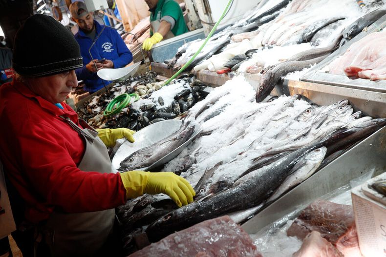 por no acreditar origen de mil kg de merluza y 5 mil kg de reineta  $12 millones de multa a transportista.jpg
