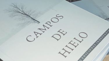 El Desconcierto | Libro Campos de Hielo de Enzo Farías