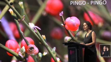 Se extinguió una nueva especie en Chile, confirma el Ministerio de Medio Ambiente