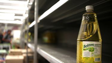 Con el aceite desechado de la casa académicos desarrollan en Chile plástico biodegradable