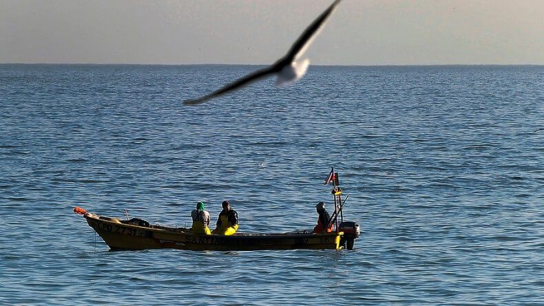 A_UNO_552810_fde48 790x445 1.jpg