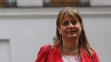 Van Rysselberghe sobre dichos de Mañalich: Es ministro de Salud, definitivamente de economía no sabe mucho