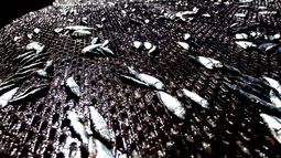 Suprema admite a trámite recurso de protección contra decreto que modifica cuotas de sardina y anchoveta