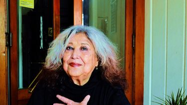 La contracultura en las crónicas en transición de Carmen Berenguer