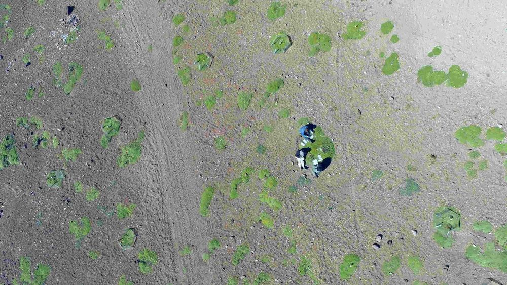 Drones e imágenes satelitales para perseguir delitos ambientales.&nbsp;
